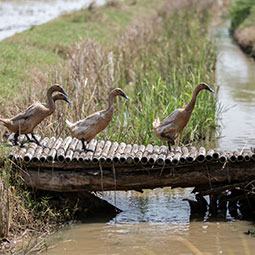 Joint statement on People, Nature and Planet