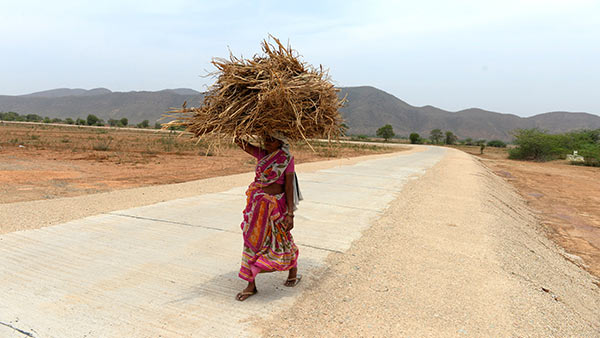 INDIA: Andhra Pradesh Rural Roads Project