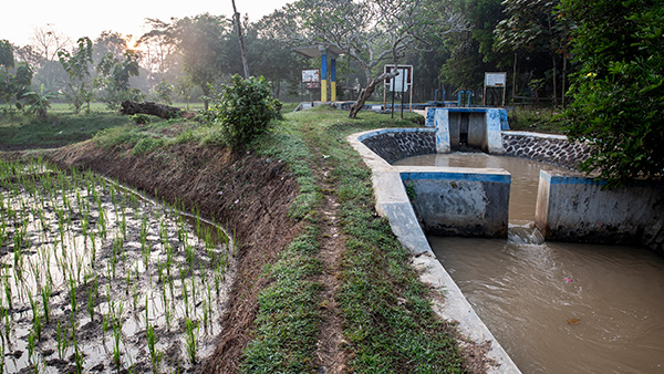 INDONESIA: Strategic Irrigation Modernization and Urgent Rehabilitation